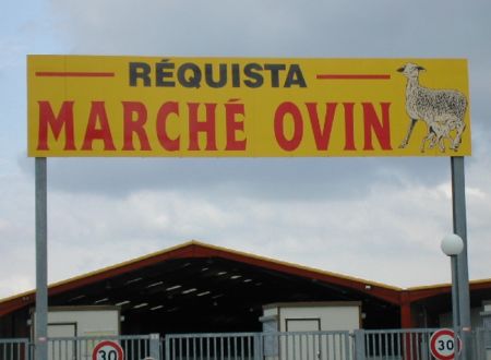 Marché Ovin à Réquista 
