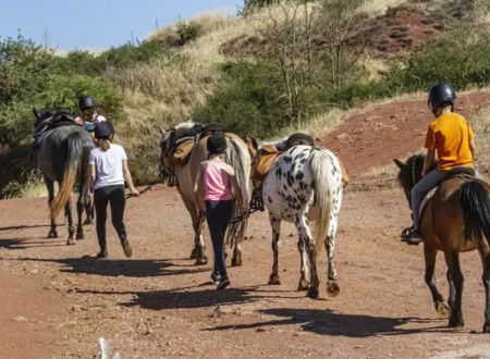 Poney Club - Centre équestre du Rougier 