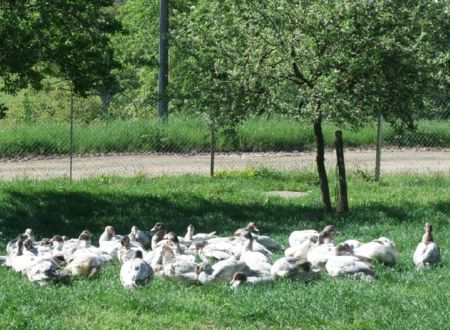 La ferme de Mathilde 