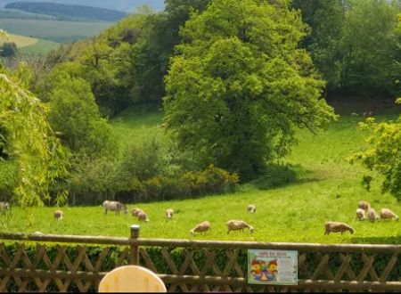 VISITES à la ferme 