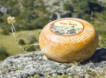 Fromagerie coopérative des Bergers du Larzac 