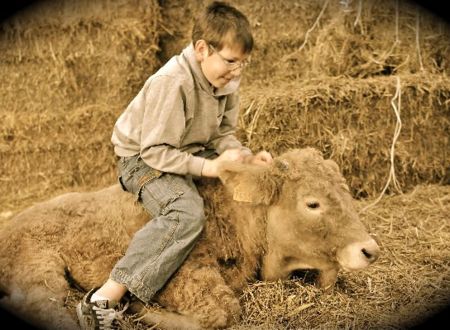 Ferme découverte des Capellous 