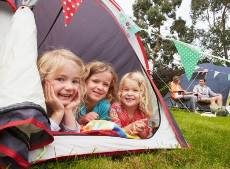 Camping Vert Lavande 