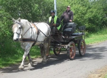 Ecole d'attelage de l'Aubrac - Cours et stages d'attelage 