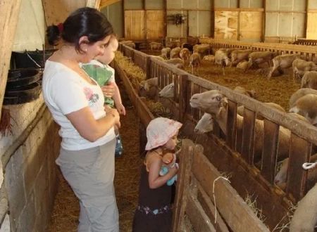 La Ferme des Vézinies 