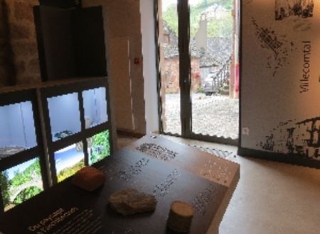 Espace des Enfarinés - Collection de minéraux et de fossiles 