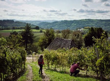 Domaine le Verdus 