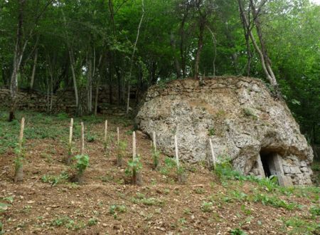 Journées du Patrimoine - Cave troglodyte Cassagnettes 