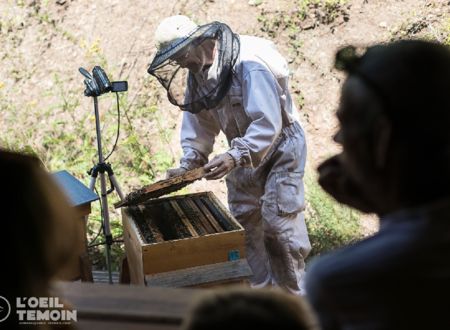 L'Arc en Miel : visite-immersion au coeur du monde des abeilles 