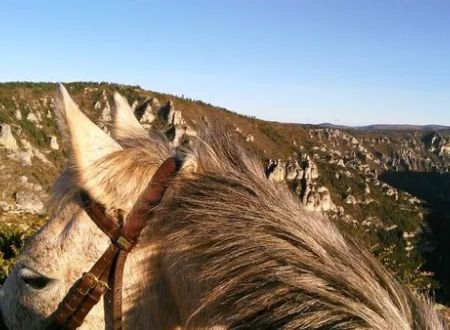 Ecurie des Grands Causses - Promenade à cheval 