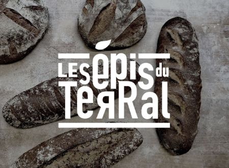 Les Epis du Terral 