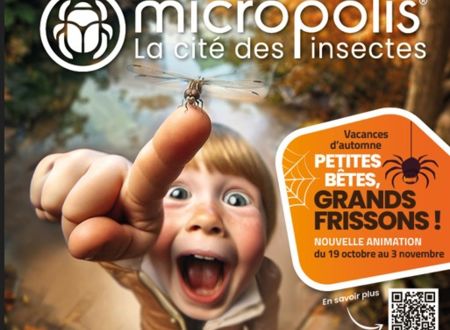 Visites de MICROPOLIS - octobre 2024 