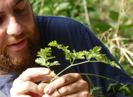 Les jardins de l'instant végétal : cueillette de fleurs sauvages 