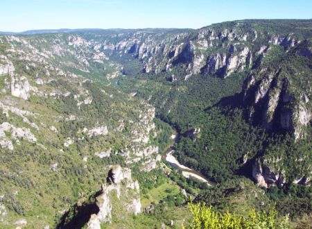 Excursion Gorges du Tarn 