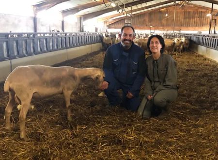 Visite à la ferme Chez Audrey et Thierry 