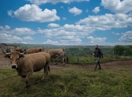 Visite à la ferme Chez Mathieu 