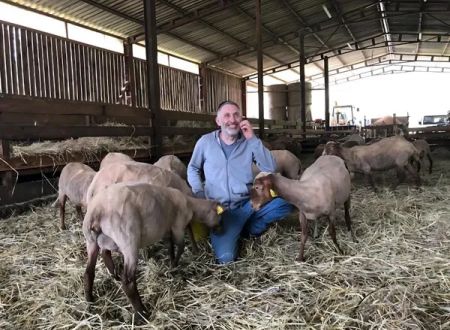 Visite et repas à la ferme Chez Laurent 