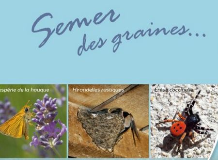Les Ailes des Grands Causses - LPO Aveyron 