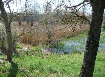 Balade découverte du marais de Montaris à Salles-Courbatiès 