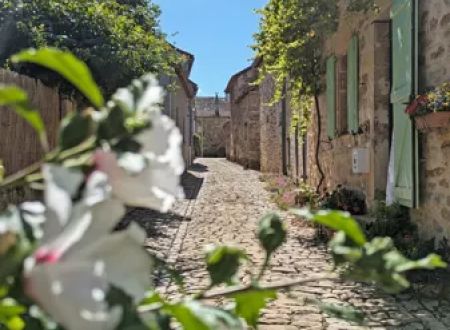 Visite guidée de Sainte-Croix 