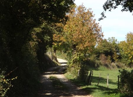 Journées européennes du patrimoine – Randonnée sur la Trace de la Transhumance de Varès à Lenne 