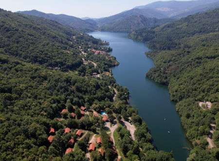 LES CHATAIGNIERS DU LAC 