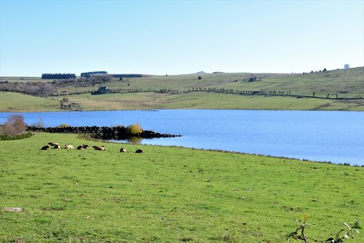 Lac des Chèvres (lâchers de truites)