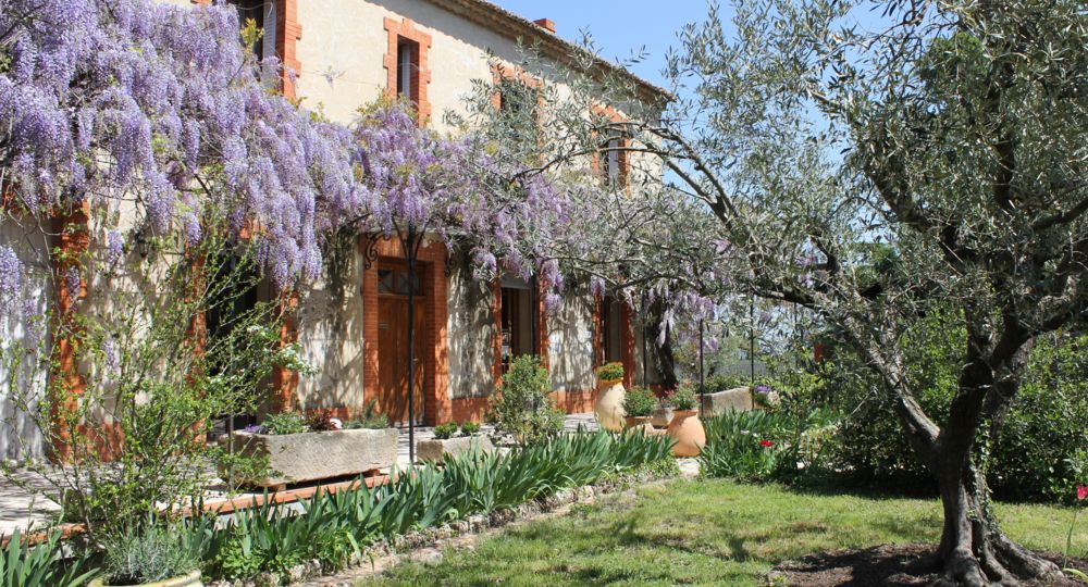 Domaine Pélaquié à Saint-Victor-la-Coste
