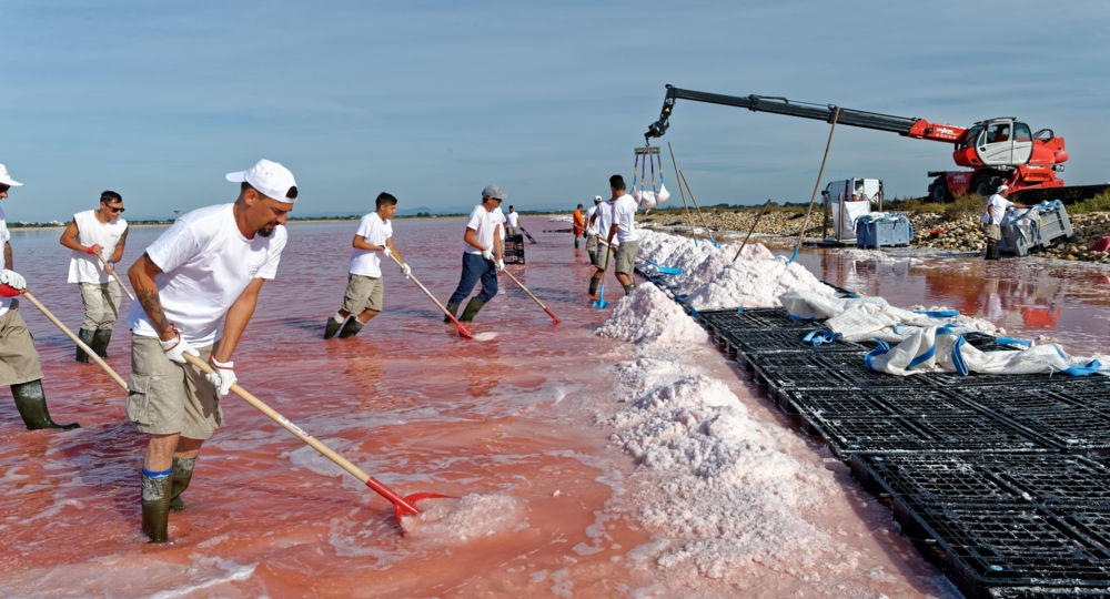Visites de la récolte de la fleur de sel - Salin d'Aigues-Mortes_Aigues-Mortes