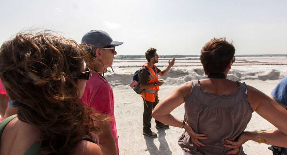 Visites de la récolte du sel - Salin d'Aigues-Mortes_Aigues-Mortes