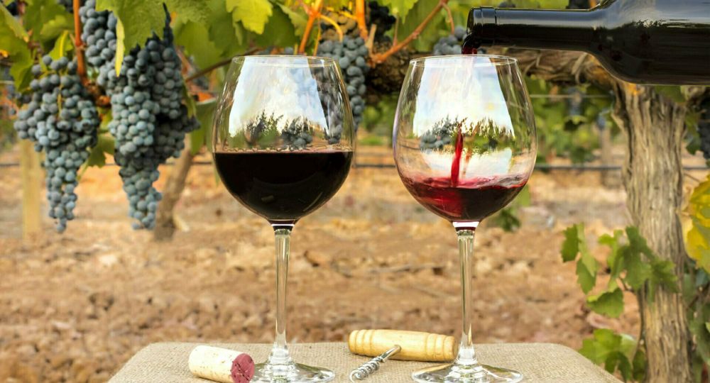 Fête du nouveau vin