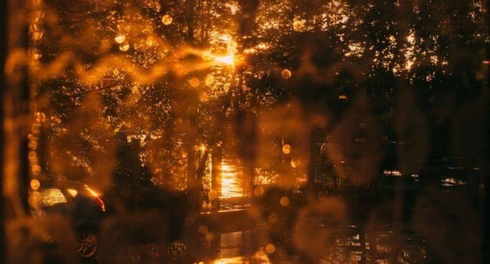 Atelier bien-être Yoga d'automne