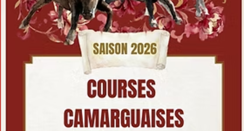 Course des vaches cocardières_Le Grau-du-Roi