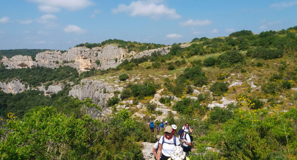 Balade insolite à la découverte des plantes sauvages comestibles à l’ermitage de Collias