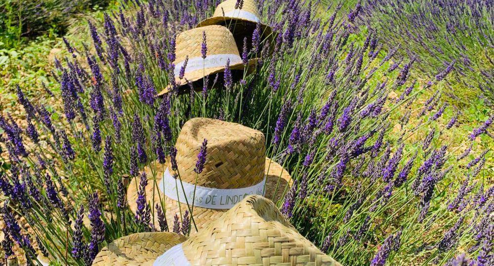 Gîtes Le Mas de Linde : Le Crouzet