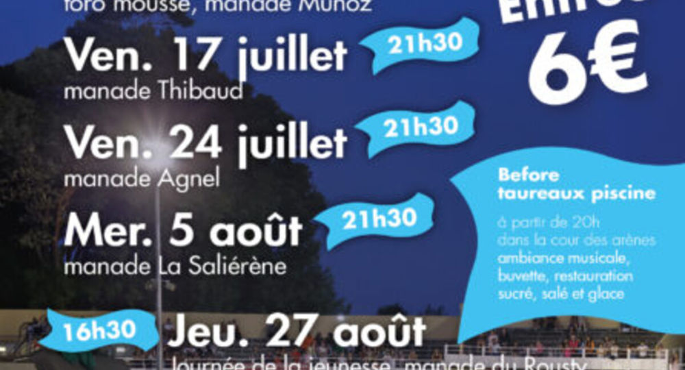 Taureau piscine_Saint-Gilles