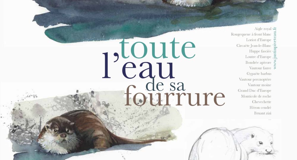 Exposition -Toute l'eau de sa fourrure_Cendras