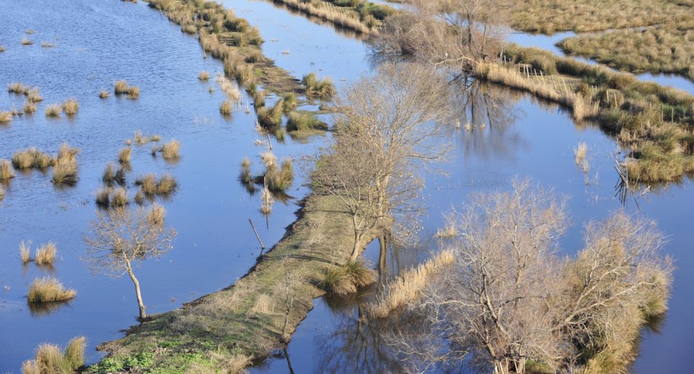 Centre de Découverte du Scamandre_Vauvert
