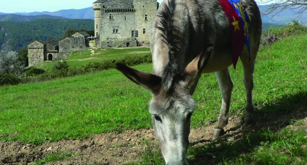 Château du Cheylard d'Aujac_Aujac
