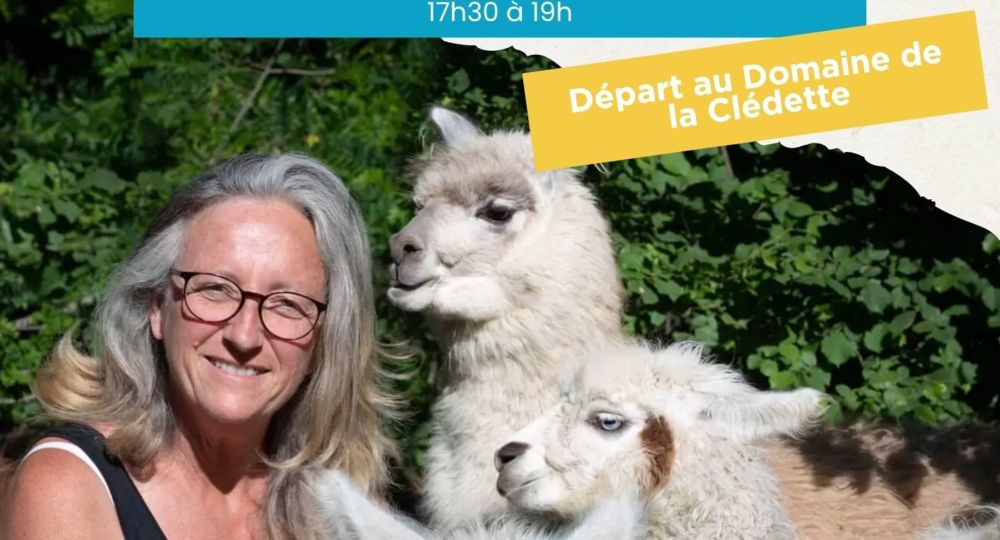 Balade avec des lamas_Colognac