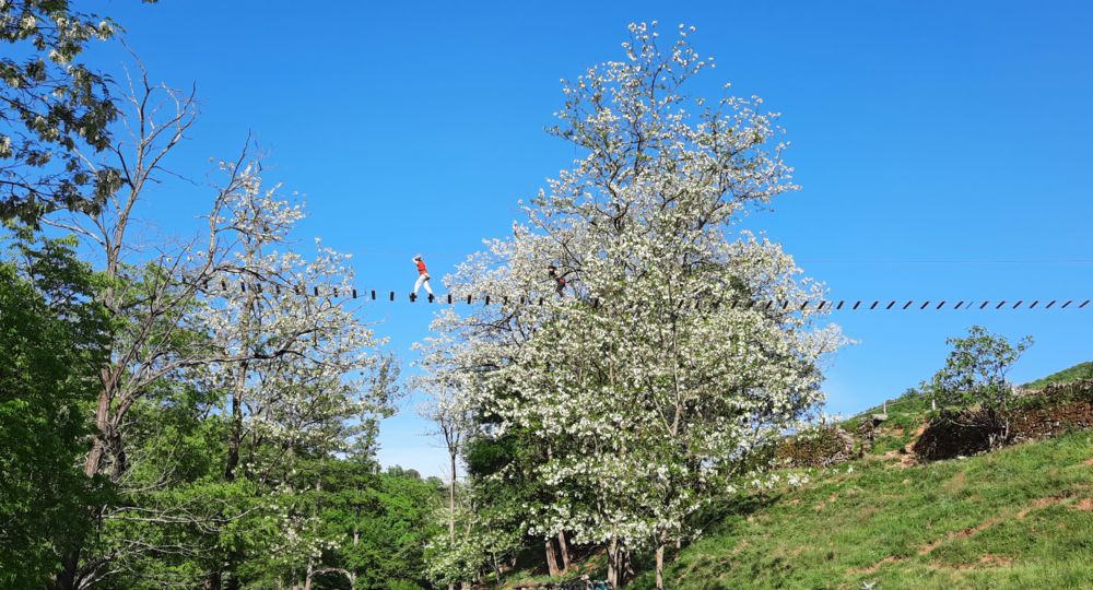 La Ferme Abracadabranche_Thoiras