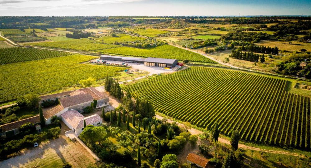 Immersion dans l'histoire et le vin au Mas des Tourelles_Beaucaire