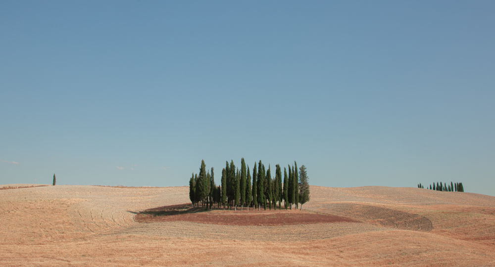 Exposition «Metamorphosis»_Villeneuve-lez-Avignon