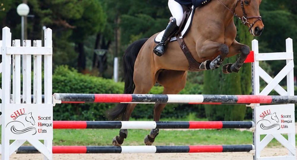 Concours Saut Obstacle - Amateur et Pro_Uzès