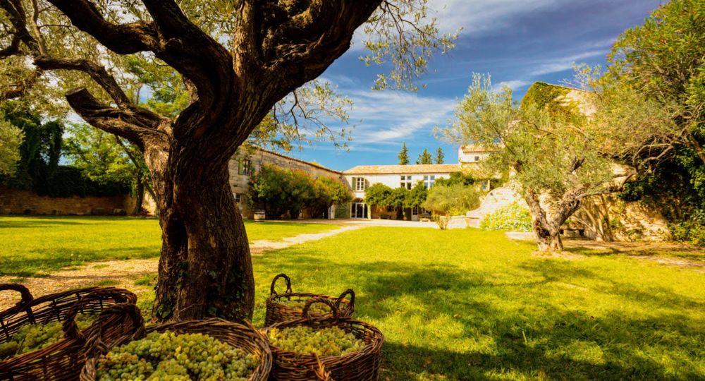 Immersion dans l'histoire et le vin au Mas des Tourelles_Beaucaire