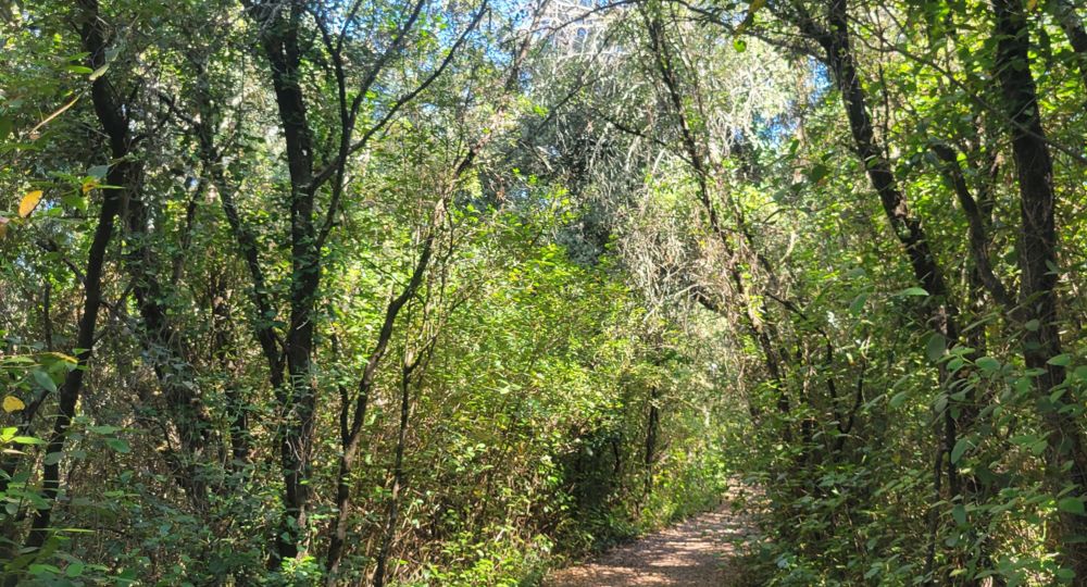 Le sentier des Capitelles de Blauzac_Blauzac