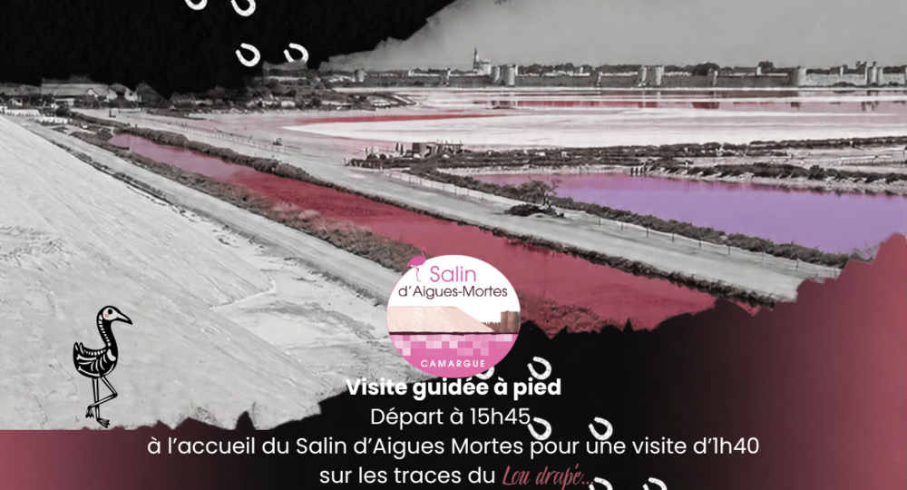 Contes et légendes du sel