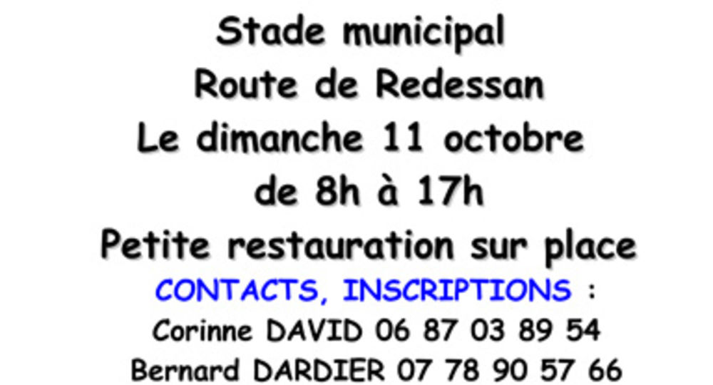 Vide grenier du Corso de Meynes