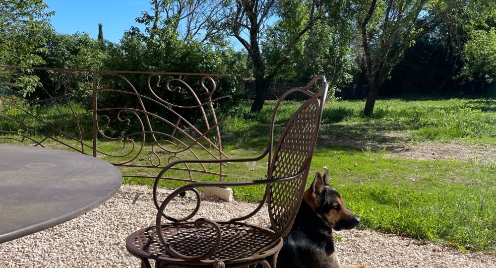 Magnanerie de Sainte Croix_Saint-Hippolyte-de-Caton