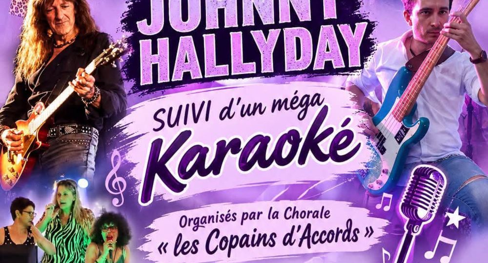 Concert - Tribute Johnny Hallyday_Comps
